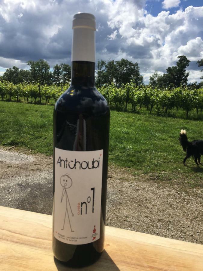 Chateau La Loge Villematier 外观 照片